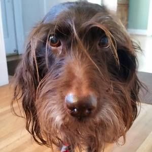 Meet your Posher, Susan